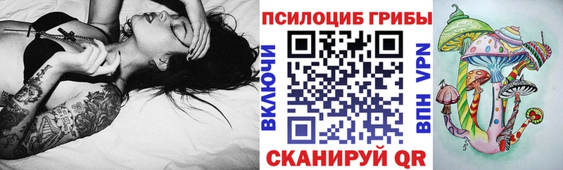 блэк спрут tor  Баймак  Псилоцибиновые грибы Psilocybe 